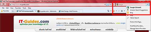 Add-ons Search IE