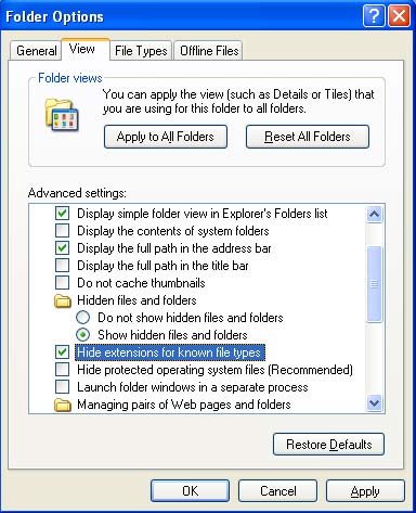 Folder Options Windows