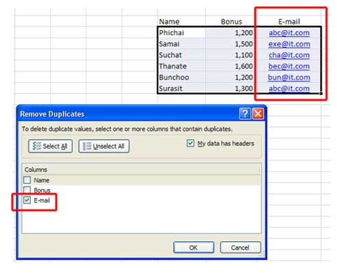 Remove Duplicate Microsoft Excel