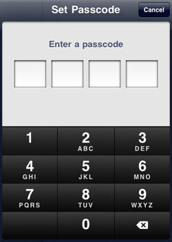Set Passcode iPad