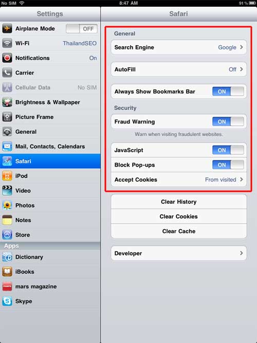 Setup Safari Browser iPad