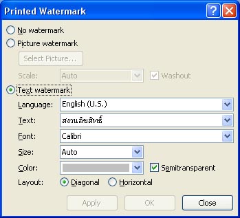 watermark screen word 2007