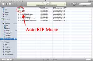Auto RIP Audio CD
