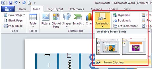 Screenshot Screen Capture Office 2010